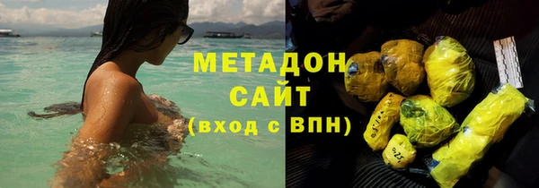 прущие грибы Армянск