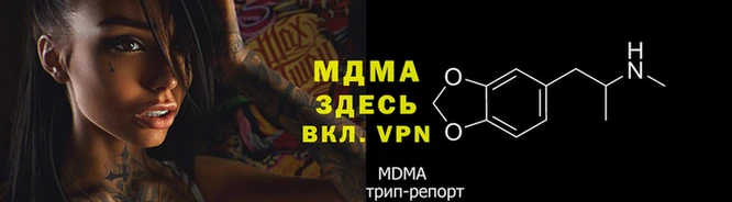 прущие грибы Армянск