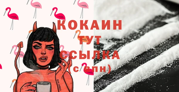 МДПВ Инсар