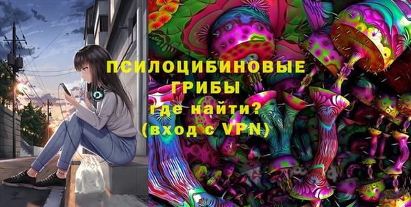 прущие грибы Армянск