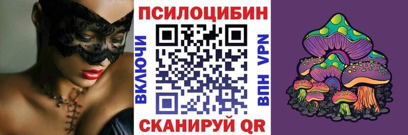 закладки  Облучье  Псилоцибиновые грибы MAGIC MUSHROOMS 